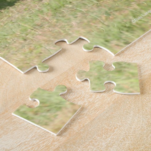 Bob Langrish | Zwart Lusitano Legpuzzel (Zijkant)