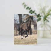 Bob Langrish | Zwarte Andaluciaanse paarden lopen Briefkaart (Staand voorkant)