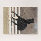 Bob Langrish | Zwarte Andaluciaanse paarden lopen Legpuzzel (Horizontaal)