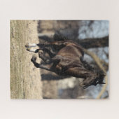 Bob Langrish | Zwarte Andaluciaanse paarden lopen Legpuzzel (Horizontaal)