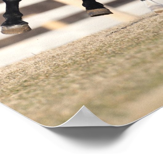 Bob Langrish | Zwarte Andaluciaanse paarden lopen Poster (Hoek)