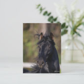 Bob Langrish | Zwarte Andalucian Stallion Headshot Briefkaart (Staand voorkant)