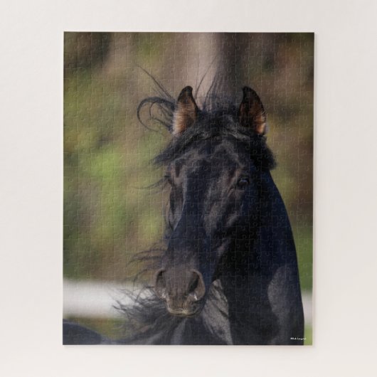 Bob Langrish | Zwarte Andalucian Stallion Headshot Legpuzzel (Verticaal)