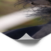 Bob Langrish | Zwarte Andalucian Stallion Headshot Poster (Hoek)