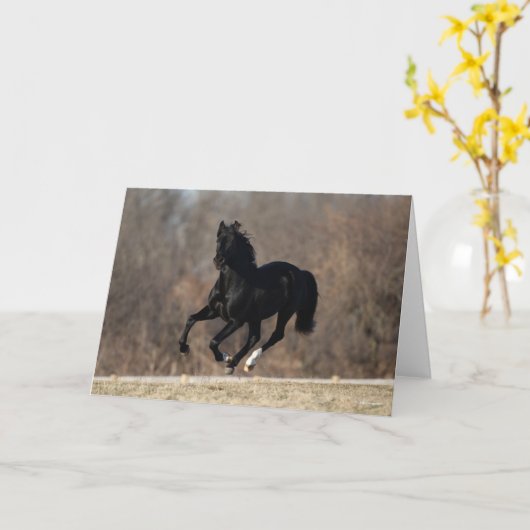 Bob Langrish | Zwarte Andalucian Stallion Running Kaart (Gele Bloem)
