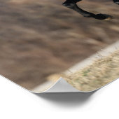 Bob Langrish | Zwarte Andalucian Stallion Running Poster (Hoek)