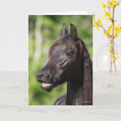 Bob Langrish | Zwarte Friesian Flehmen Headshot Kaart (Gele Bloem)