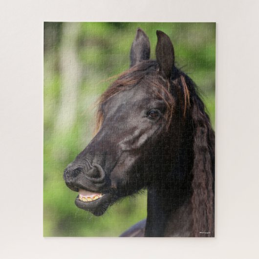 Bob Langrish | Zwarte Friesian Flehmen Headshot Legpuzzel (Verticaal)