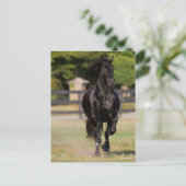 Bob Langrish | Zwarte Friesian Horse Running Briefkaart (Staand voorkant)