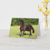 Bob Langrish | Zwarte Friesian Horse Running Kaart (Gele Bloem)