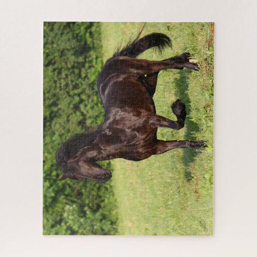 Bob Langrish | Zwarte Friesian Horse Running Legpuzzel (Verticaal)