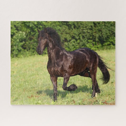 Bob Langrish | Zwarte Friesian Horse Running Legpuzzel (Horizontaal)