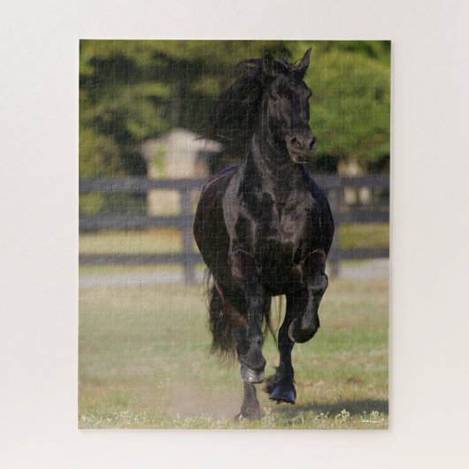 Bob Langrish | Zwarte Friesian Horse Running Legpuzzel (Verticaal)