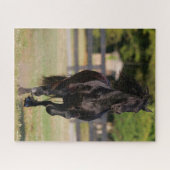 Bob Langrish | Zwarte Friesian Horse Running Legpuzzel (Horizontaal)