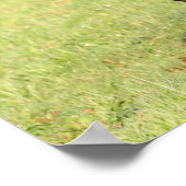 Bob Langrish | Zwarte Friesian Horse Running Poster (Hoek)