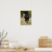 Bob Langrish | Zwarte Friesian Horse Running Poster (Keuken)