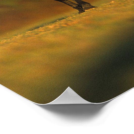 Bob Langrish | Zwarte-Friesland in het najaar Poster (Hoek)