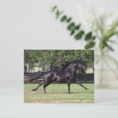 Bob Langrish | Zwarte Lusitano-springmane Briefkaart (Staand voorkant)