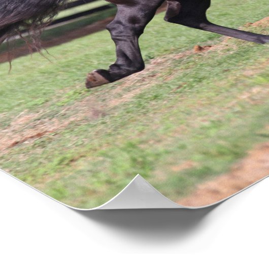 Bob Langrish | Zwarte Lusitano-springmane Poster (Hoek)