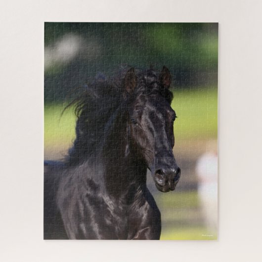 Bob Langrish | Zwarte Rocky Mountain Horse-foto Legpuzzel (Verticaal)