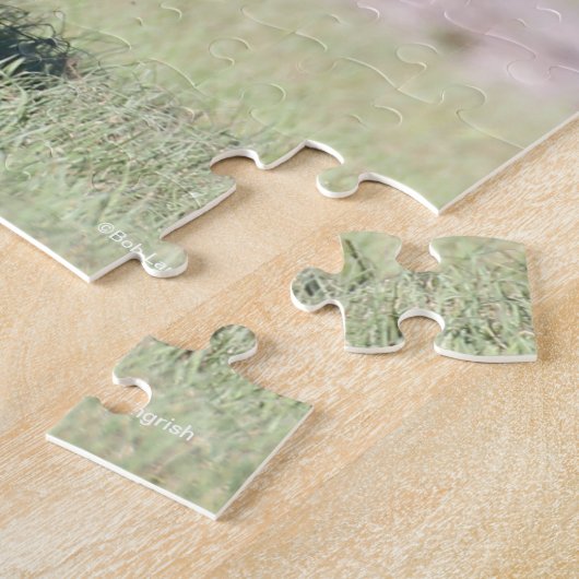 Bob Langrish | Zwarte Tennessee Walker aan het wer Legpuzzel (Zijkant)