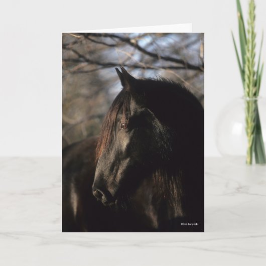 Bob Langrish | Zwarte Tennessee Walker Headshot Kaart (Voorkant)