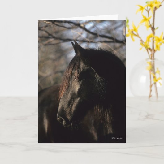 Bob Langrish | Zwarte Tennessee Walker Headshot Kaart (Gele Bloem)