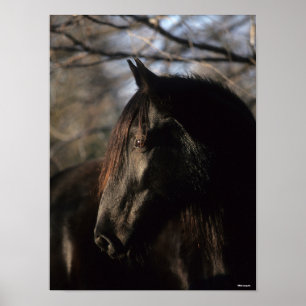 Bob Langrish Zwarte Tennessee Walker Headshot Poster