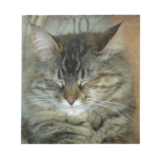 Bob Notitieblok (Voorkant)