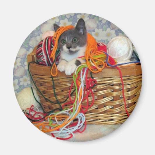 Bob Spinn'in a Yarn Magnet (Voorkant)