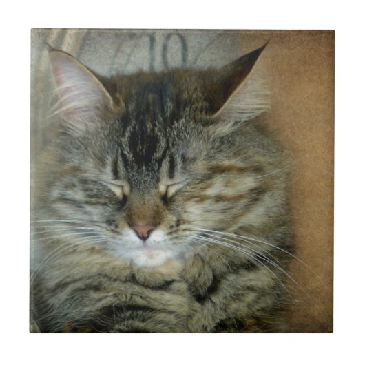 Bob Tegeltje (Voorkant)