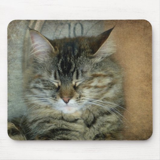 Bob the Cat Muismat (Voorkant)