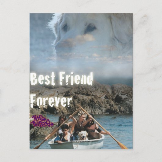 Bob The Dog - Beste vriend Forever Briefkaart (Voorkant)