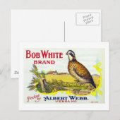 "Bob White Pumpkin Brand Canning Label"-kaart Briefkaart (Voorkant / Achterkant)
