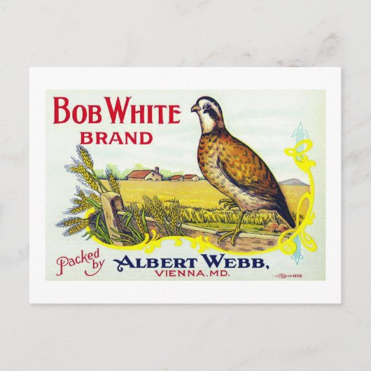"Bob White Pumpkin Brand Canning Label"-kaart Briefkaart (Voorkant)