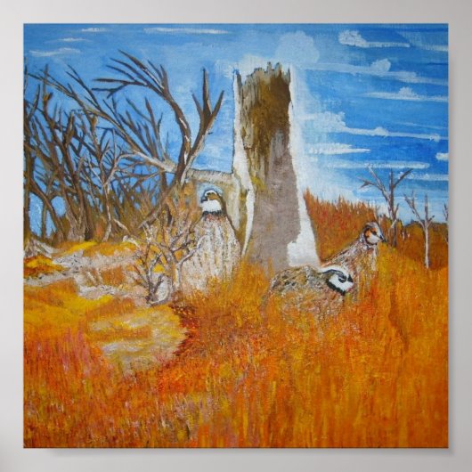 Bob White Quail Poster (Voorkant)
