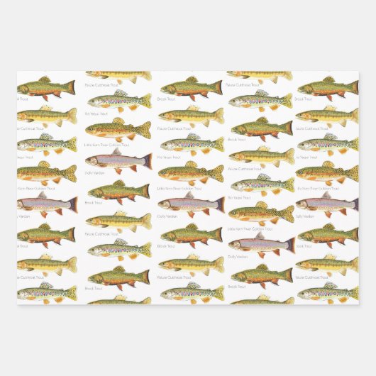 Bobbers, lokken en forel geschenkverpakking inpakpapier vel (Voorkant 3)