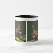 Bobbin's Robins Mok voor Kerstmis (Midden)