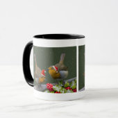 Bobbin's Robins Mok voor Kerstmis (Voorkant links)