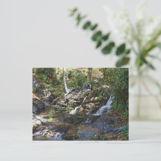 Bobby McLean Memorial Park #5, Newland, NC Briefkaart (Staand voorkant)