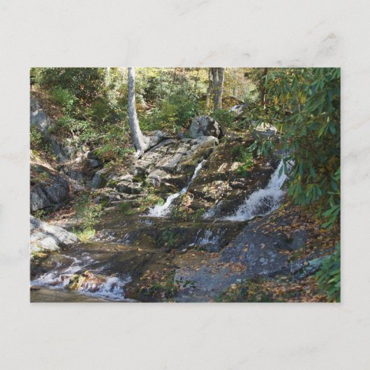 Bobby McLean Memorial Park #5, Newland, NC Briefkaart (Voorkant)