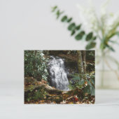 Bobby McLean Memorial Park, Newland, NC #3 Briefkaart (Staand voorkant)