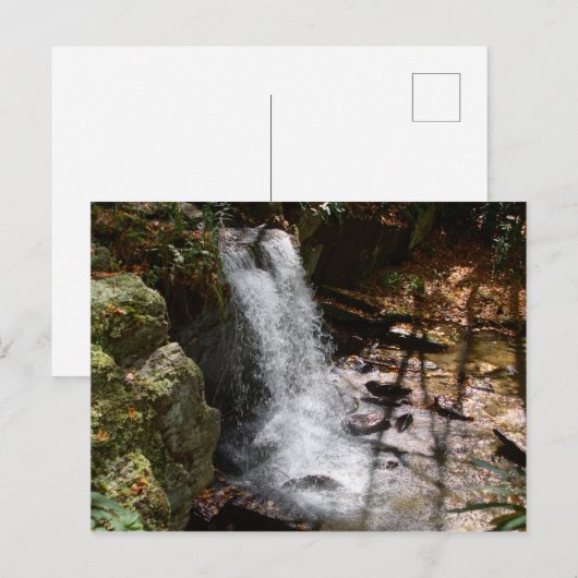 Bobby McLean Memorial Park waterval #2 Briefkaart (Voorkant / Achterkant)