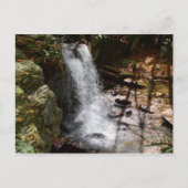 Bobby McLean Memorial Park waterval #2 Briefkaart (Voorkant)