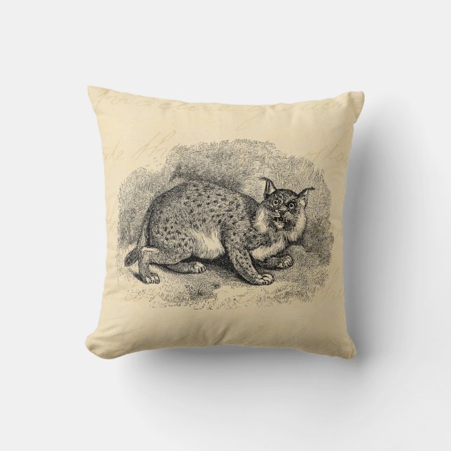  Bobcat 1800s Bob Cat Lynx Illustration Kussen (Voorkant)