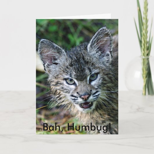 BobCat, Bah, Humbug. Feestdagen Kaart (Voorkant)