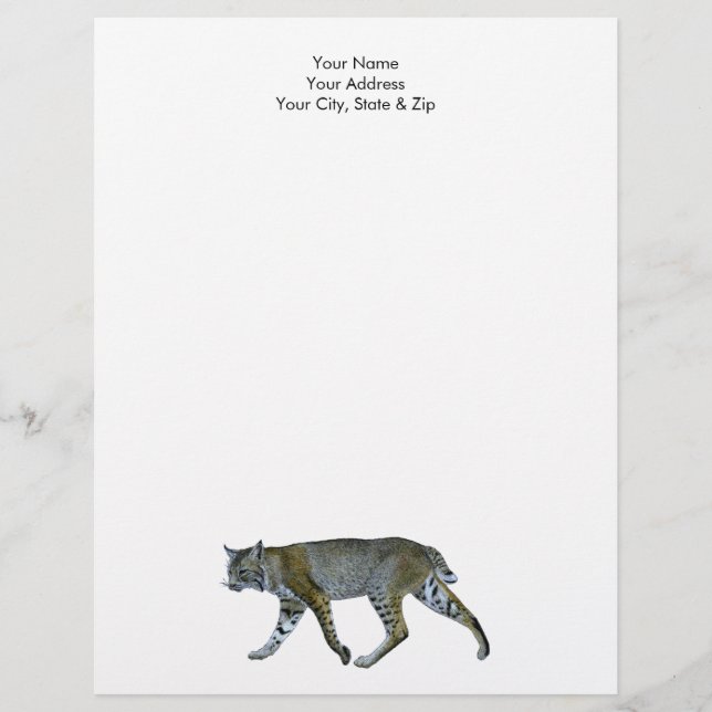 Bobcat Briefhoofd (Voorkant)