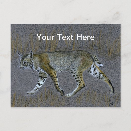 Bobcat Briefkaart (Voorkant)