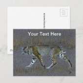 Bobcat Briefkaart (Voorkant / Achterkant)