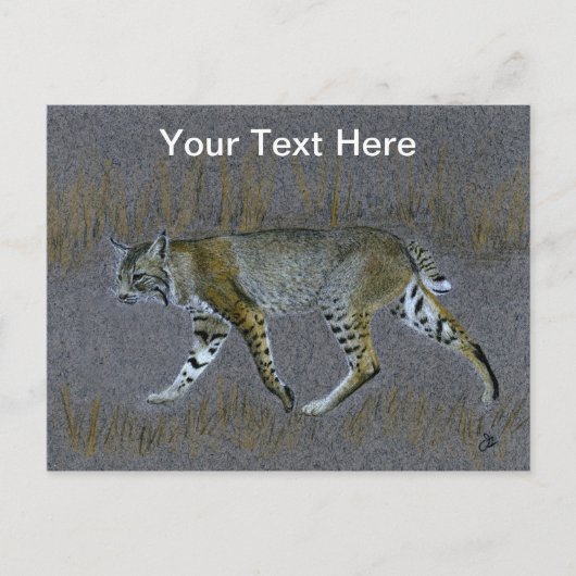 Bobcat Briefkaart (Voorkant)